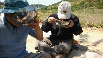 20150524_114947.jpg