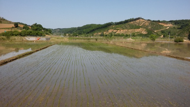 20150524_100307.jpg