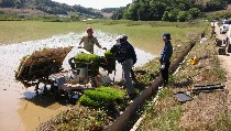 20150524_101020.jpg
